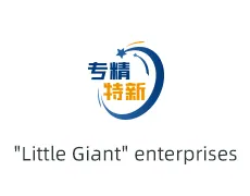 Little Giant Enterprises